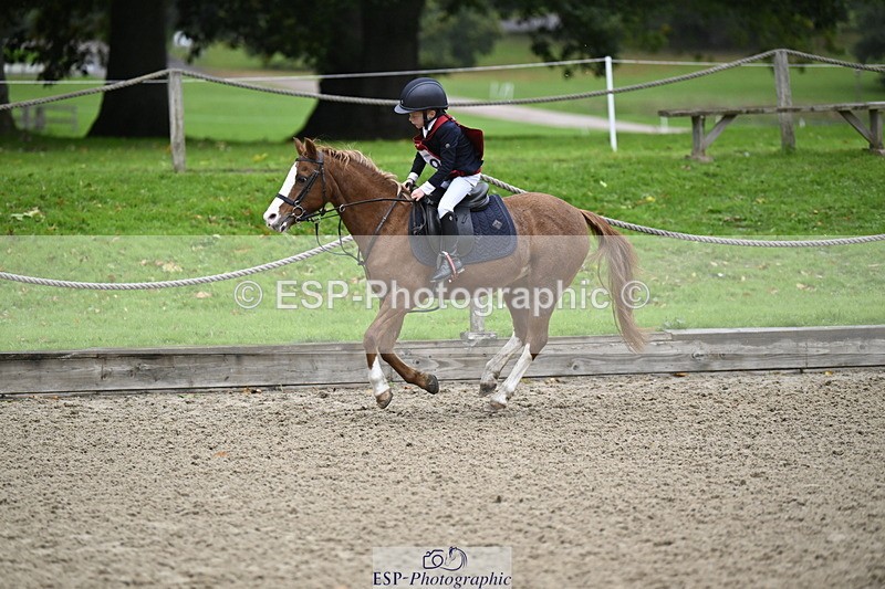 251005A-083435-02831 - Cls 01 GR 40cm