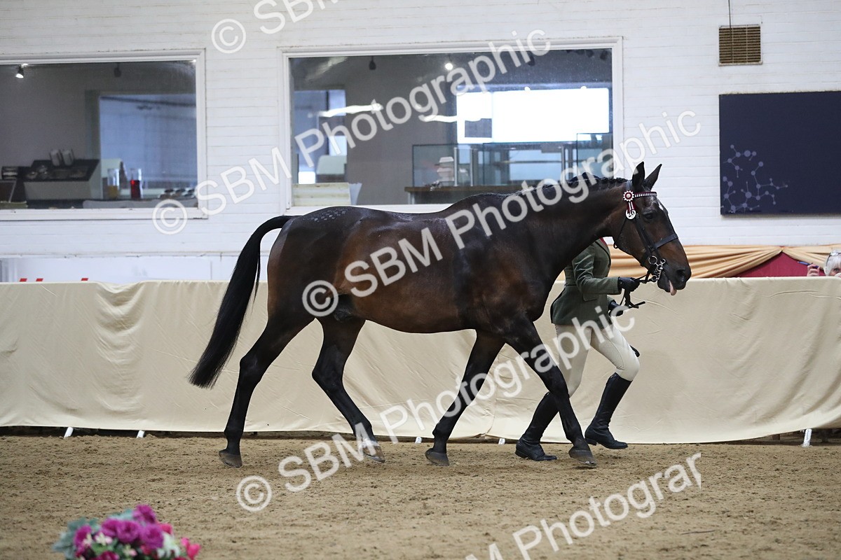 SBM_07329 - Class 10R Regional Ridden Diamond