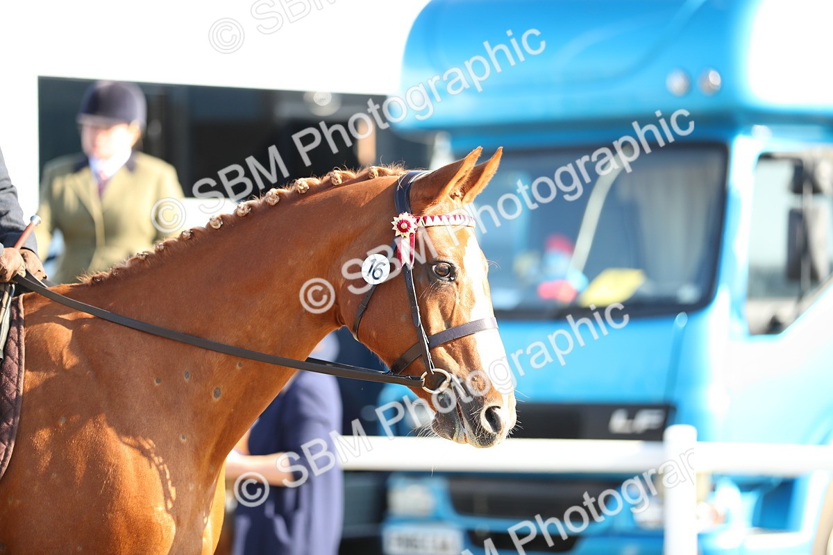 SBM_00443 - Class 41 Best Turned Out Ridden