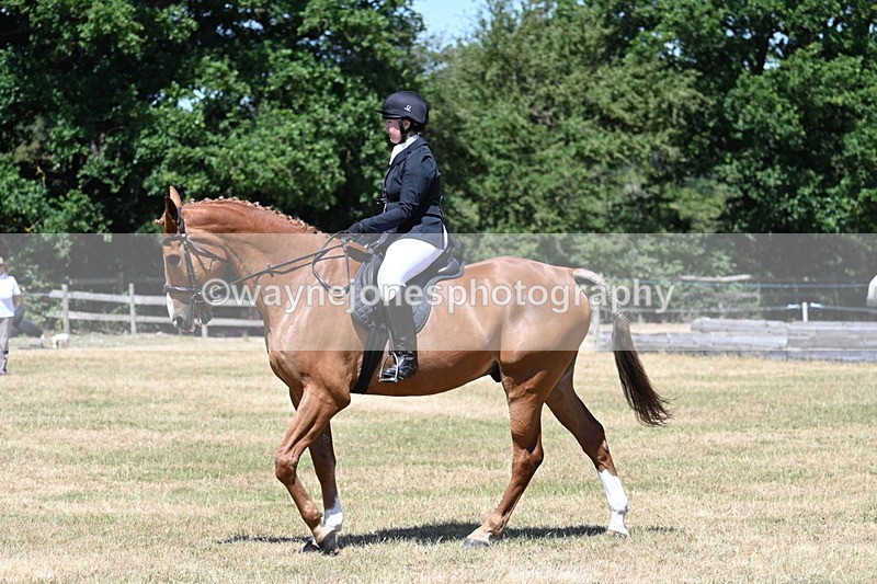 WJ7_2892 - Class 7 Riding Club Show Horse