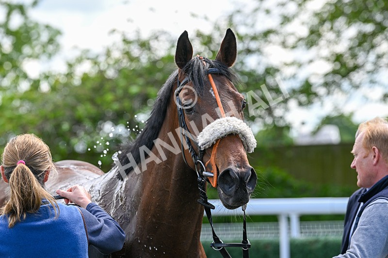 290524-Race 2-Powdering-5758 - Race 2