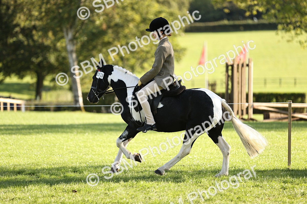 SBM_29441 - S7 - Novice & Newcomers Ridden Pony