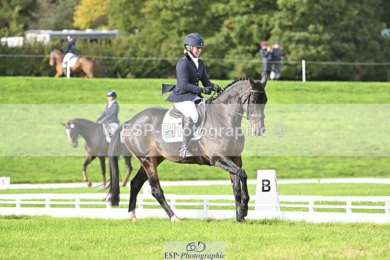 251023A-145826-04465 - E-383-Amy.Harris