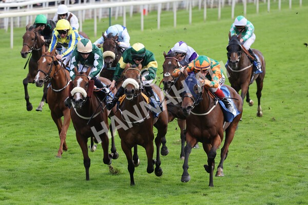 yr24092021r7-50 - Race 7 4.55pm William Hill Free or Four Fillies' Stakes
