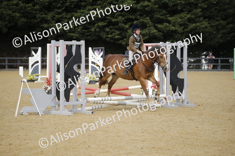 20250622-1595 - 40cm