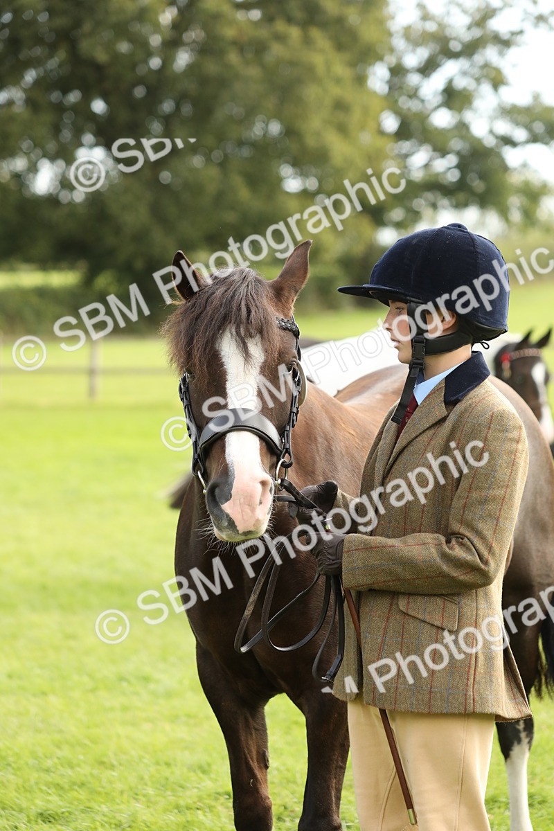 SBM_68714 - S40 - Junior Handler 9-12 Years