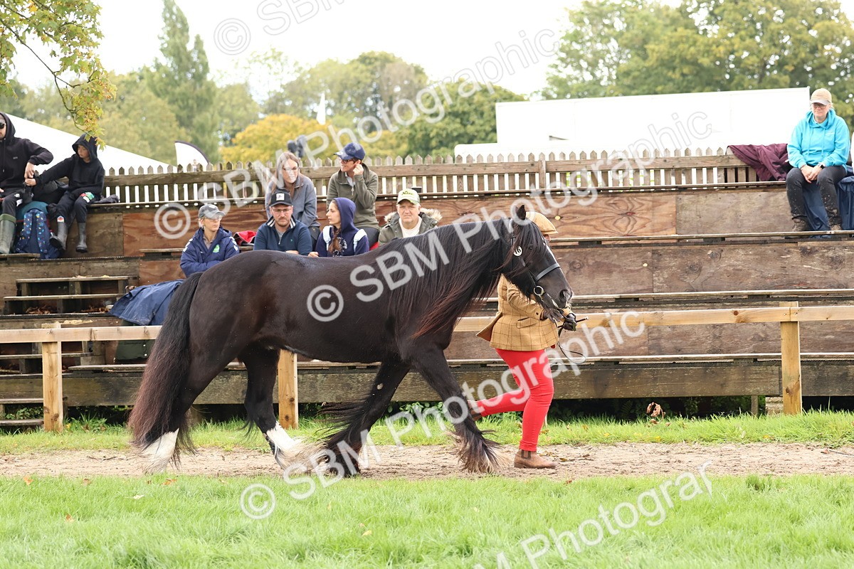 SBM_39495 - S24 - Young Veteran In Hand