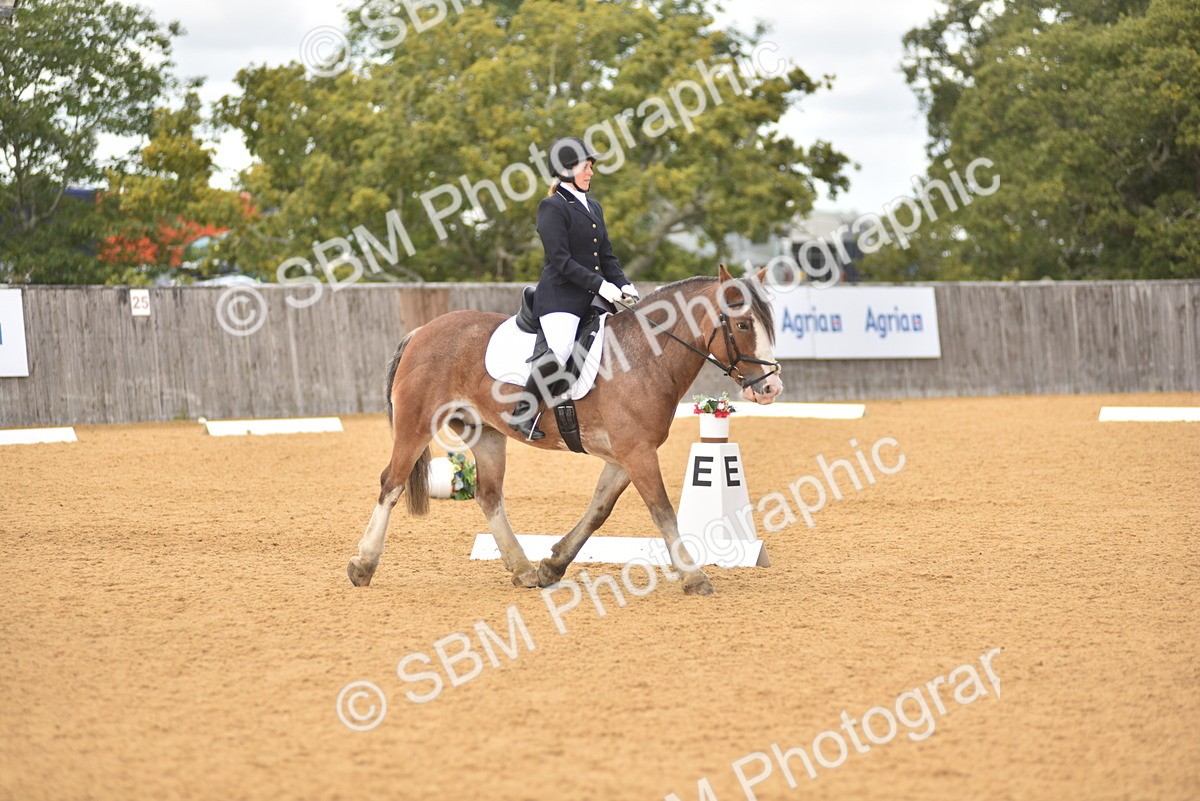 SBM_19871 - D4 - Small Tour Championship Intro 4