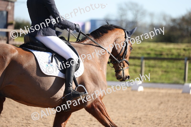 20260318-0814 - Class 8 - Elementary 2