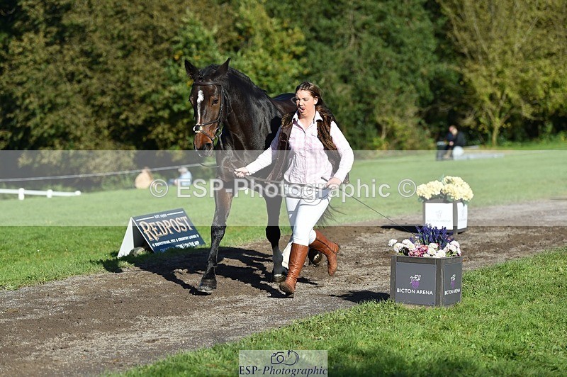 231022-104550-22722 - 483-LOPSHILL.ANNIE-Katie.Timberlake-TrotUp+SJ