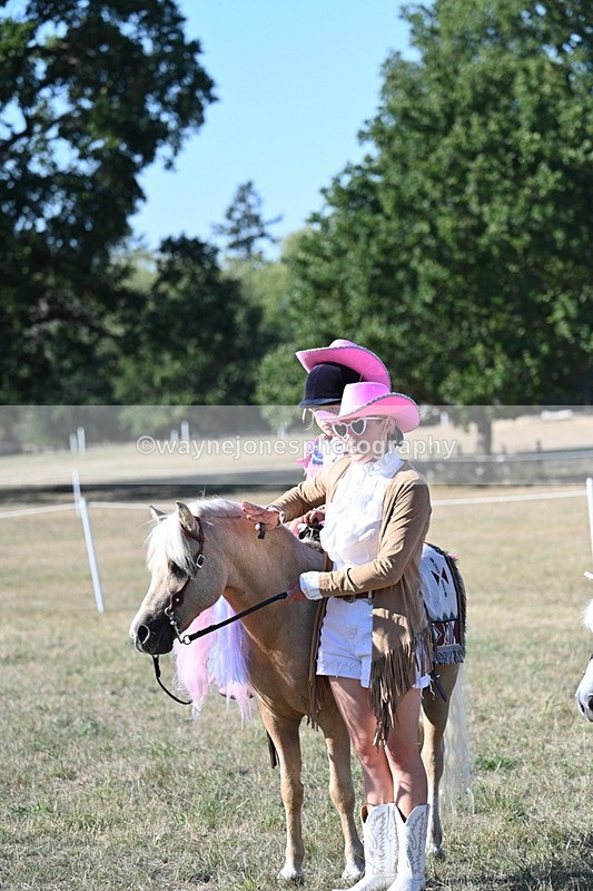 WJ7_2868 - Class 45 Fancy Dress (My Fav)