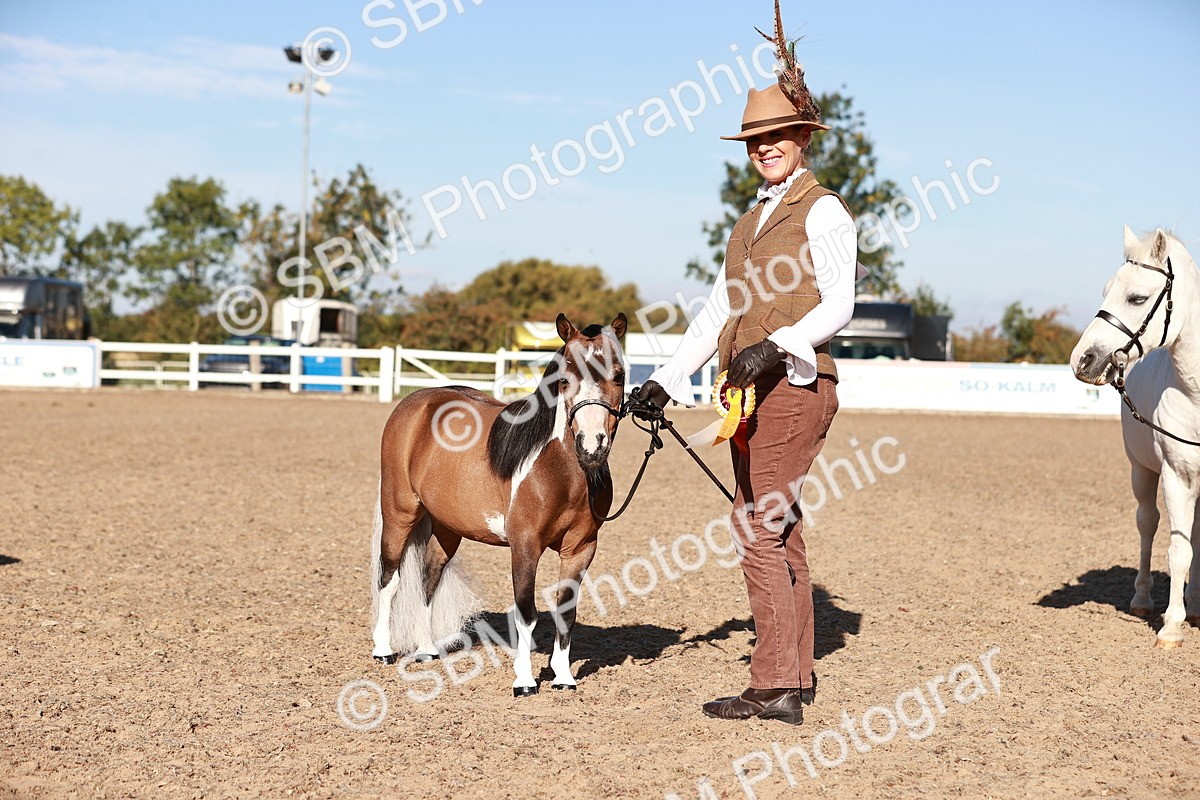 SBM_11465 - Class 402 - IH  Veteran pony