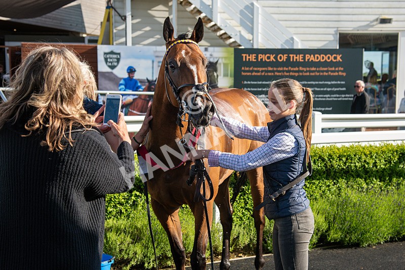 080624-Race 8-Resilience-7385 - Race 8