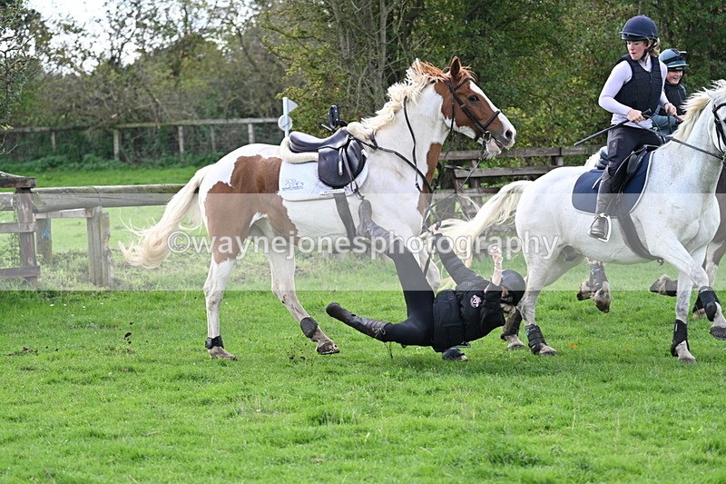 WJ7_8284 - Time 12:12 to 12:37