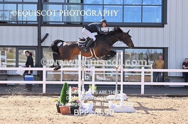 BPP_6690 - CLASS 13 FRI HOYS Talent Seeker Qualifier Inc 7 Year Old Horse Championship Qualifier