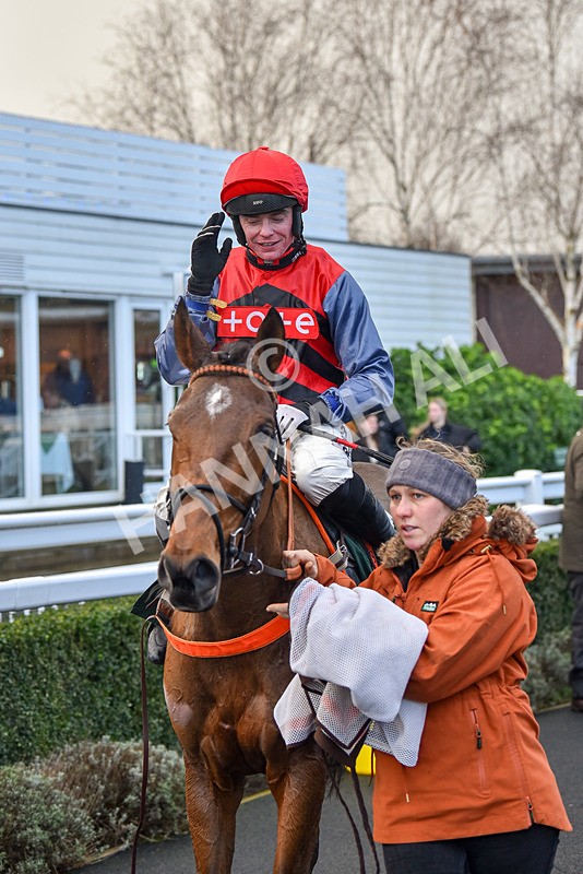 281223-Race 4-Lavida Adiva-0140 - Race 4