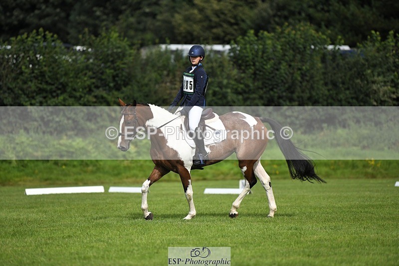 230826-100924-15375 - Sections C & D 10 to End