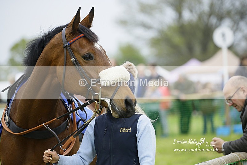 PtP 230422 230 - Berkeley Races - Woodford Glos 23/04/22