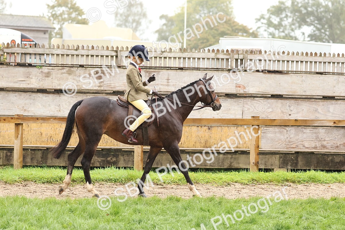 SBM_72966 - S63 Show Pony & Show Hunter Pony Ridden