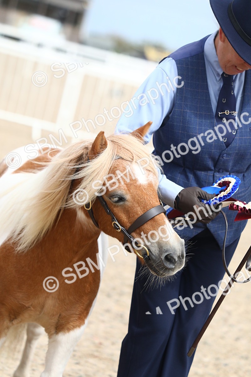 SBM_19092