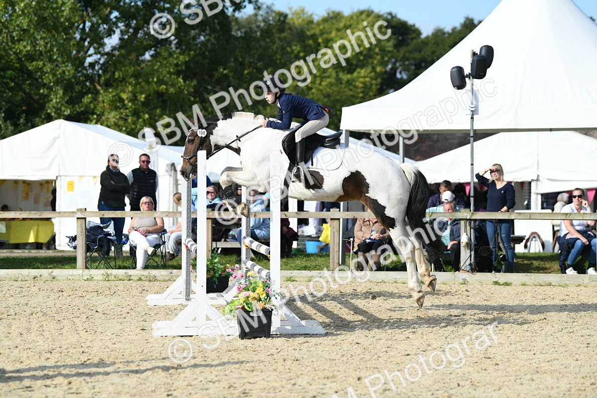 SBM_60700 - j25 - Junior Horse 80cm Championship