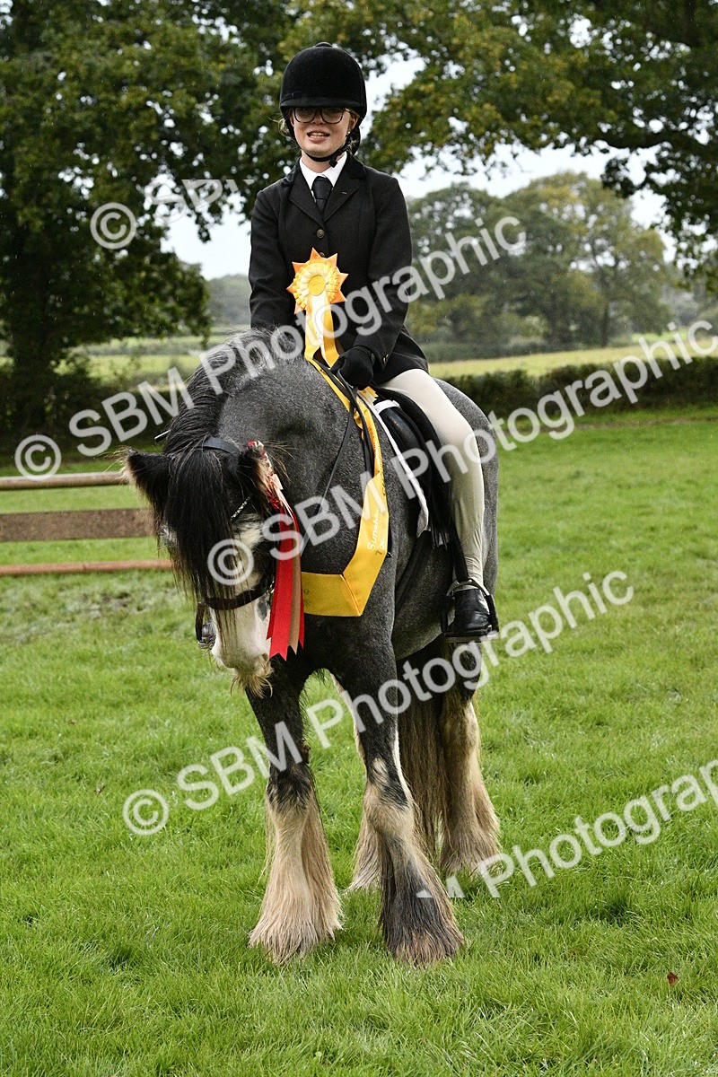 SBM_53368 - S14 - Riding Club Horse