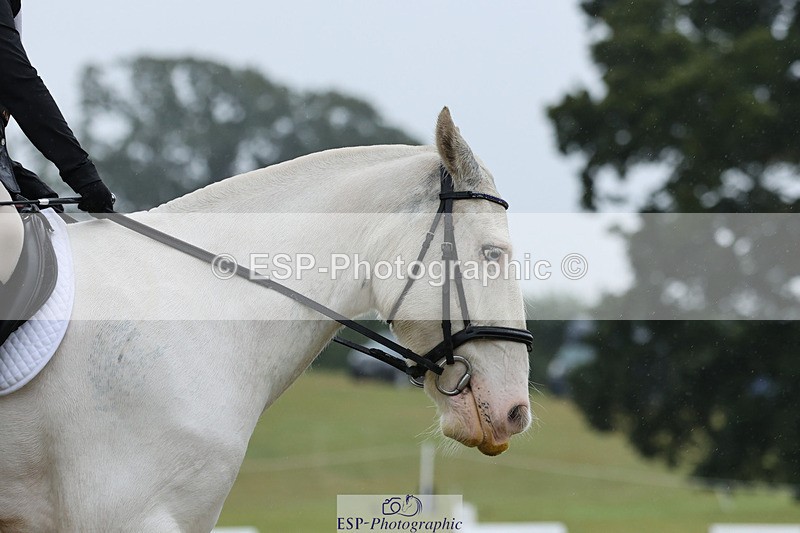 240824X-090434-22004 - D70 Section C and D 8.30 to 9.30