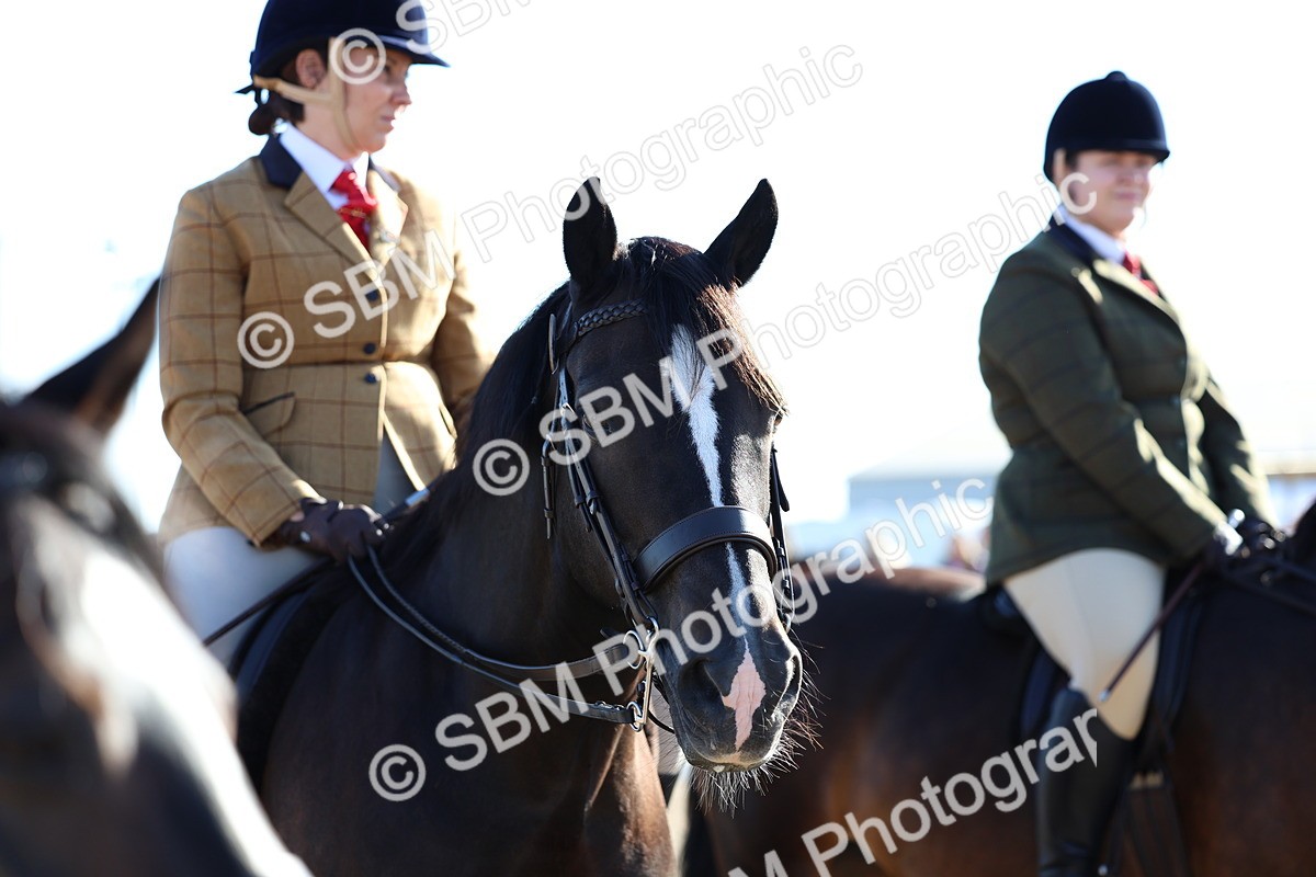 SBM_08872 - Class 302 - Ridden M&M - Large Breeds
