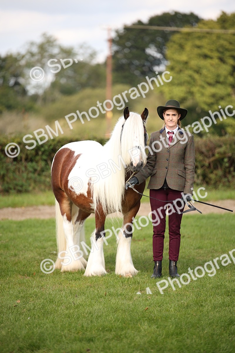 SBM_62304 - S55 - Traditional Cob In Hand