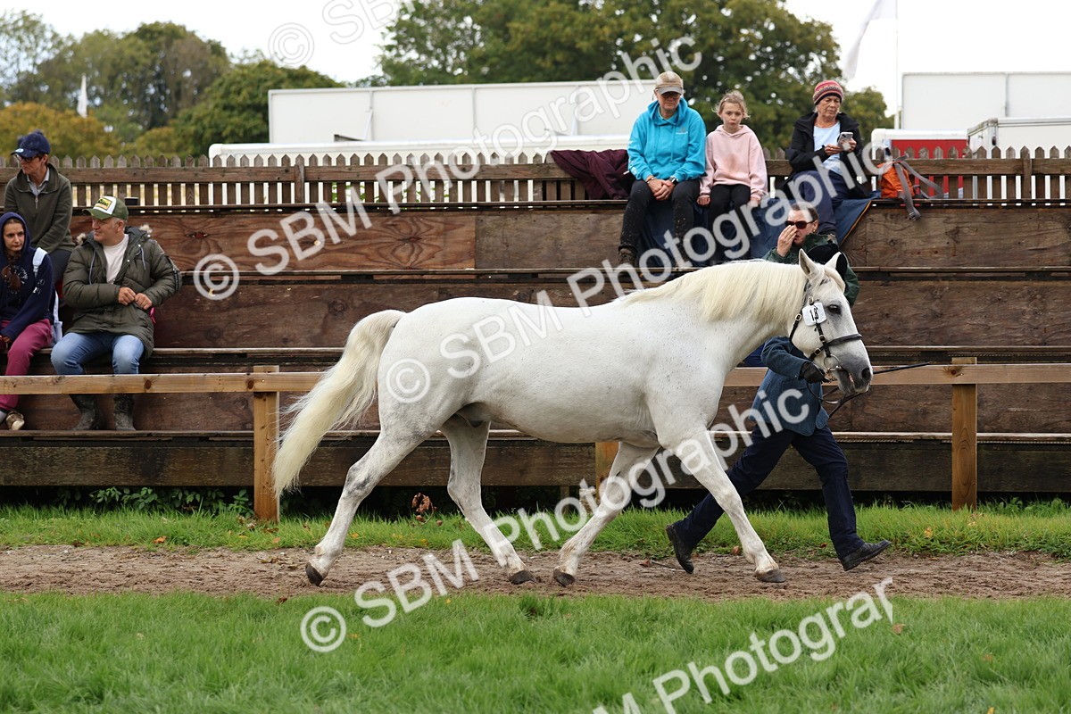 SBM_39477 - S24 - Young Veteran In Hand