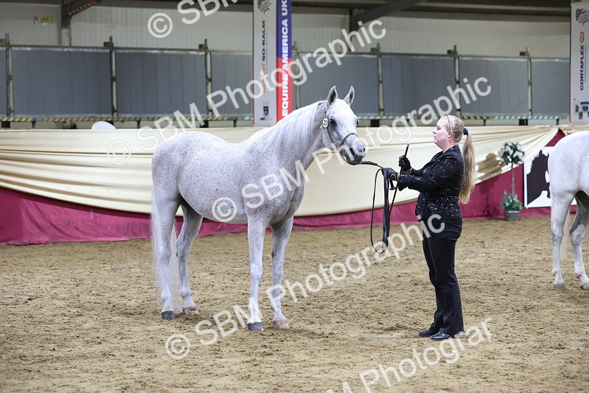 SBM_20732 - Class J - Foreign Breeds Champ