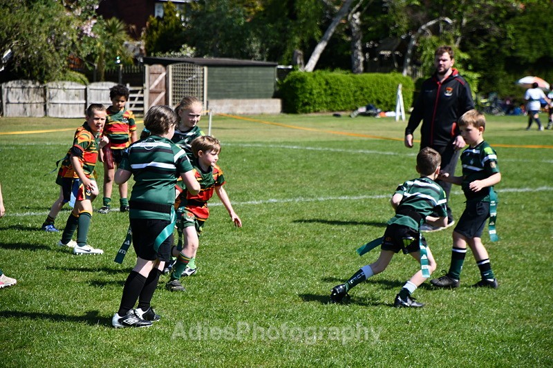  - Selby Rugby Festival 2025