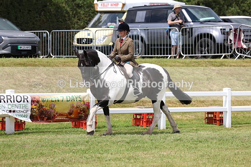 3E7A2001 - Class 10: Open Cob