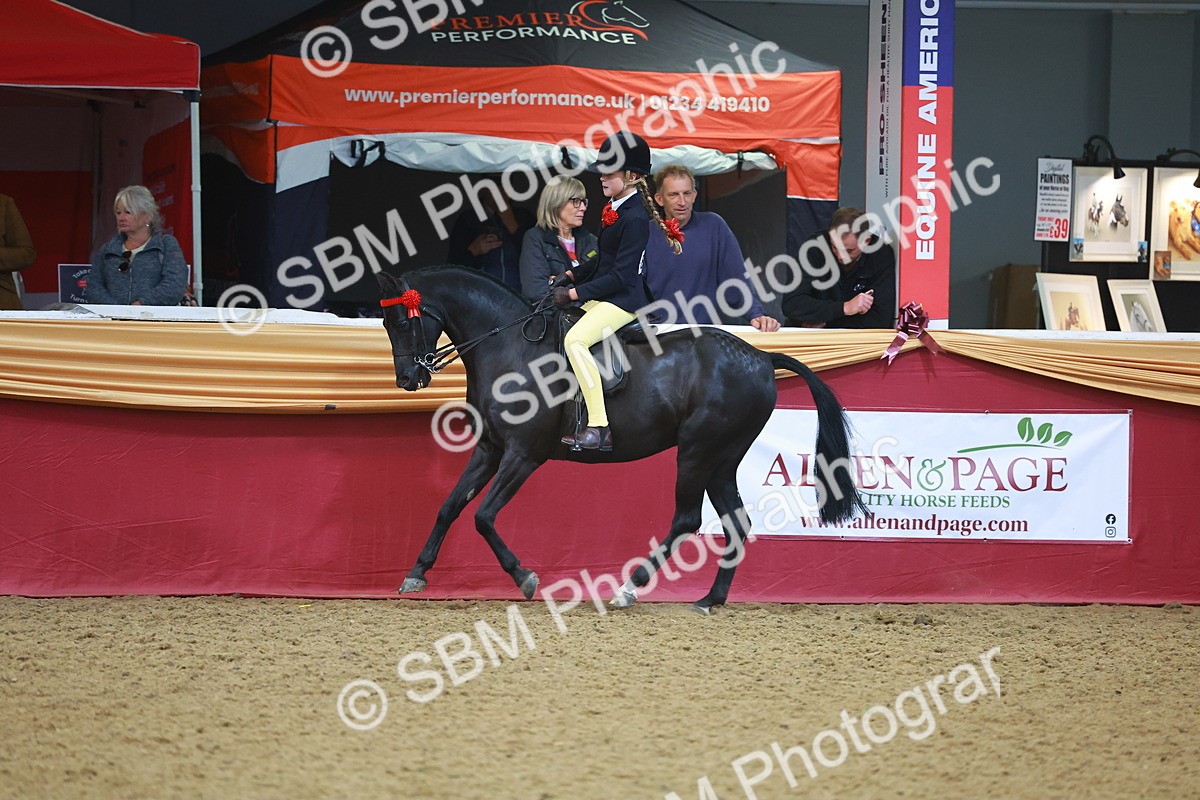 SBM_12540 - Class 103 - HOYS Veteran Qualifier - Ridden Pre Vet