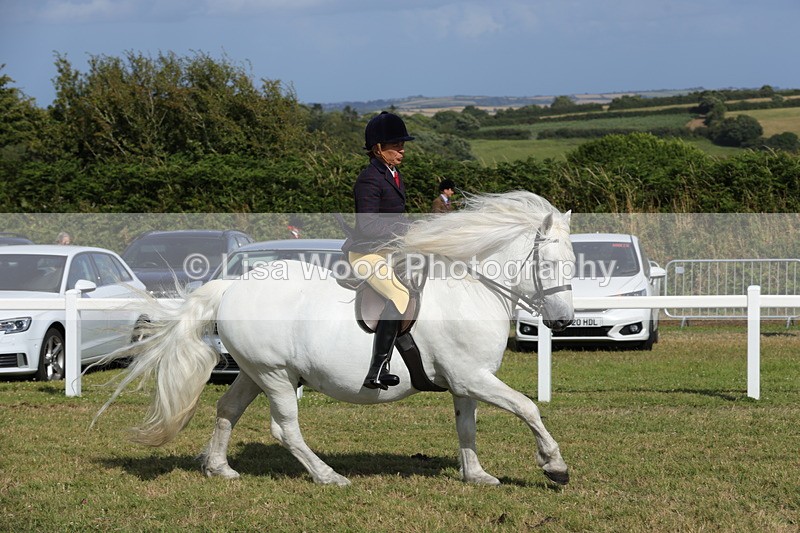 1X9A5983 - Class 42: NPS Dales, Fell, Highland