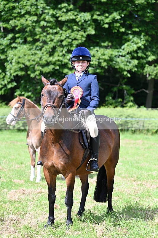 WJ7_0878 - Class 8 First Rally Pony