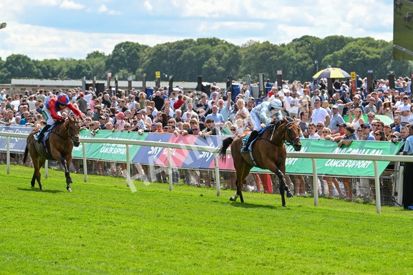 140625-Race 2-My Dream World-2300 - Race 2 2.25pm Queen Mother's Cup Handicap