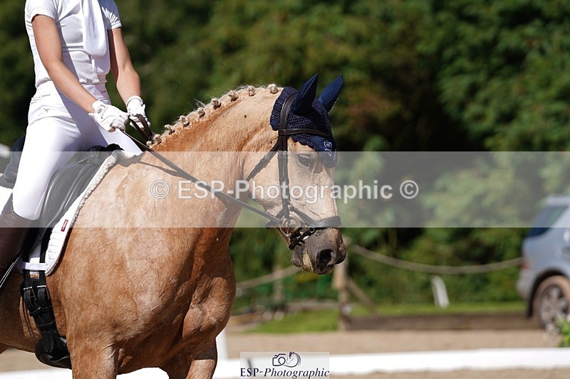 240719-154706-02764 - 103-Elissa_Franks-Golden_queen