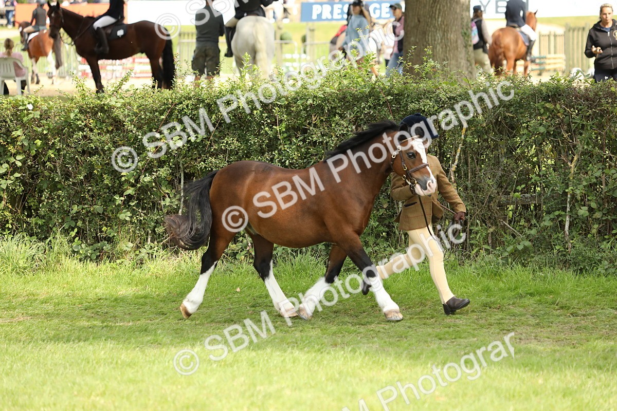 SBM_67715 - S39 - Junior Handler 8  Years & Under