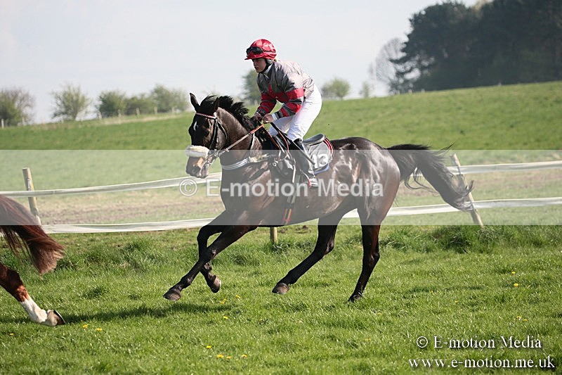 PtP 210418 455 - South & West Wilts Point-to-Point Larkhill 21/04/18