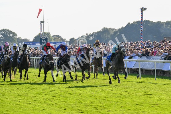 111025-Race 4-Binhareer-0445 - Race 4 Coral Sprint Trophy Handicap at York