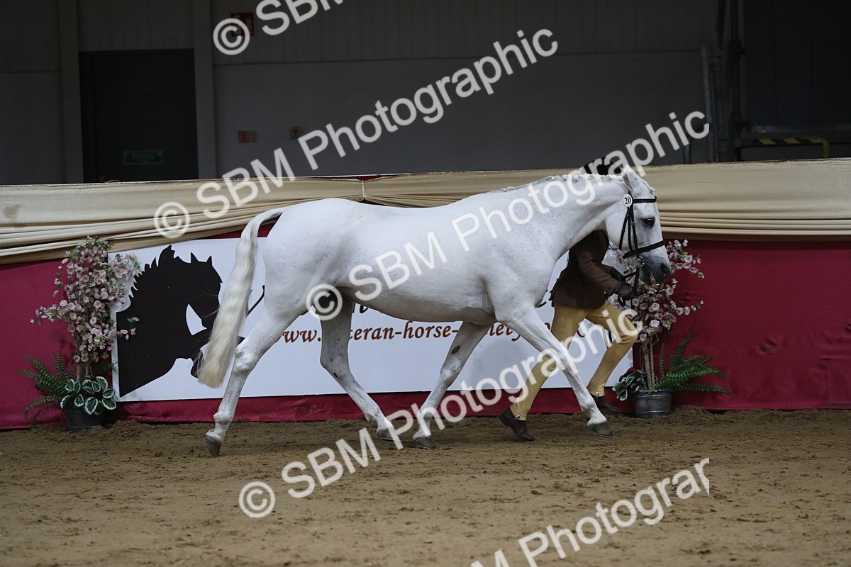 SBM_05022 - Class 8R- Regional -IH Veteran