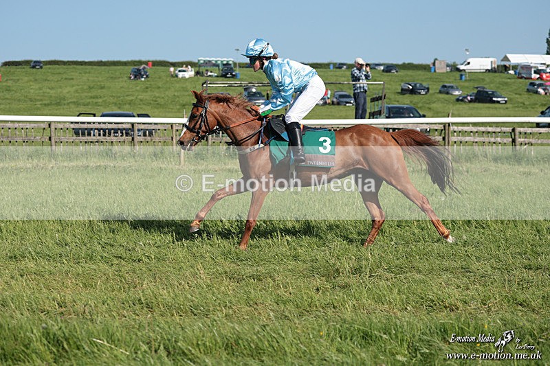 PR 250526 265 - Pony Racing from Chaddesley Corbett 25/05/26