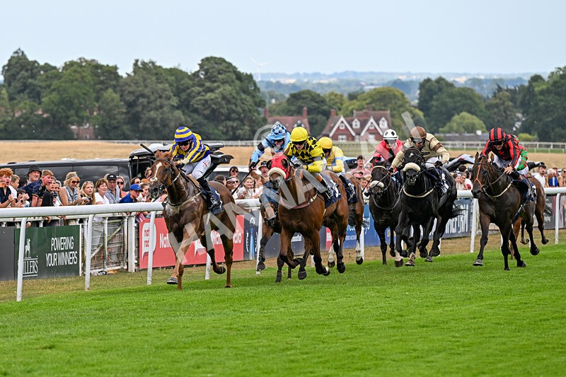 280726-Race 6-Azuinthejungle-1688 - Race 6 16.30pm It's Ladies Day Next On 12 August Handicap