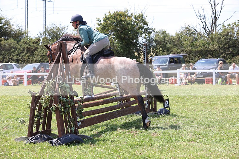 JPP_3149 - Class 22: Working Hunter 70cm