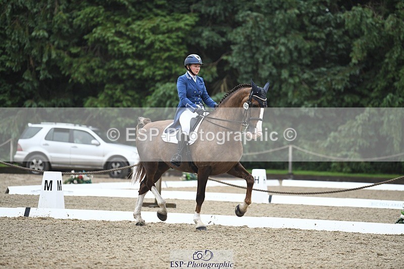 240720-143201-05668 - 142-Amberley_Pugsley-Hero_A