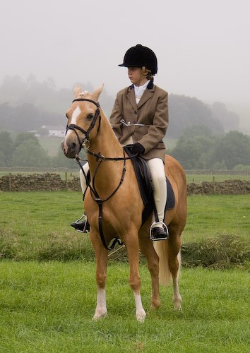11 - Moniaive Horse Show 2008
