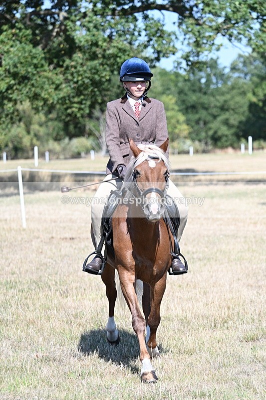WJ7_4000 - Class 9 Mountain & Moorland Ridden