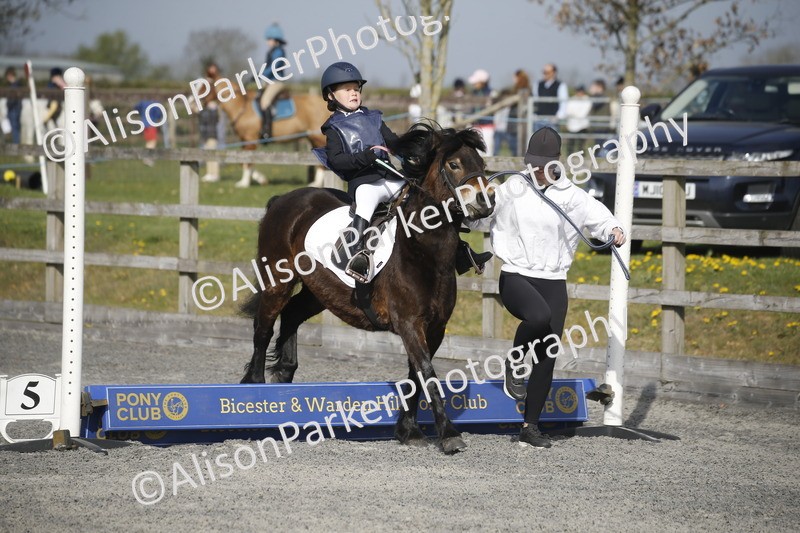 20250412-0134 - Show Jumping
