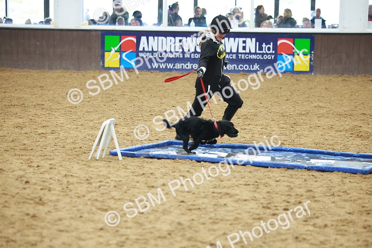 SBM_002482 - Class 3 - Horse & Hound (60cm)